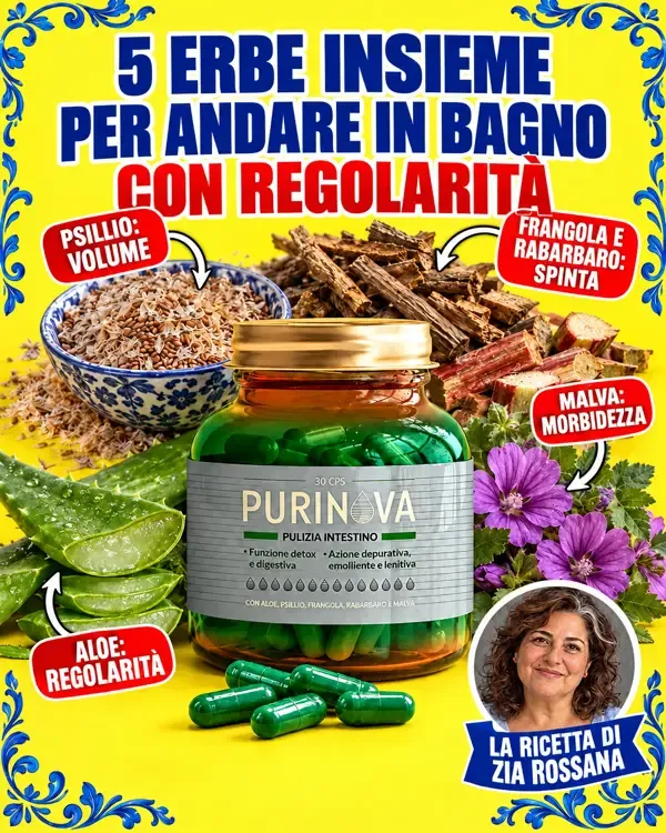 Le 5 erbe intorno al barattolo: psillio, frangola, rabarbaro, aloe e malva